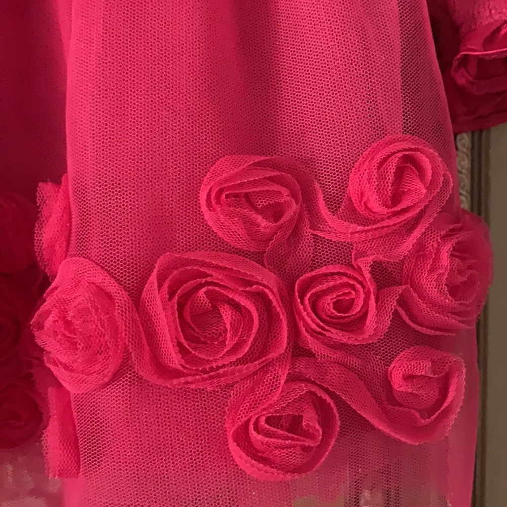 Sweet Heart Rose Baby Girl Pink Dress 18 mos Bow - Picture 8 of 17